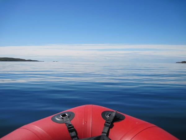 floating around the summer isles