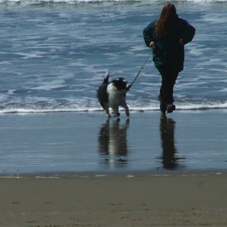 Winter beach