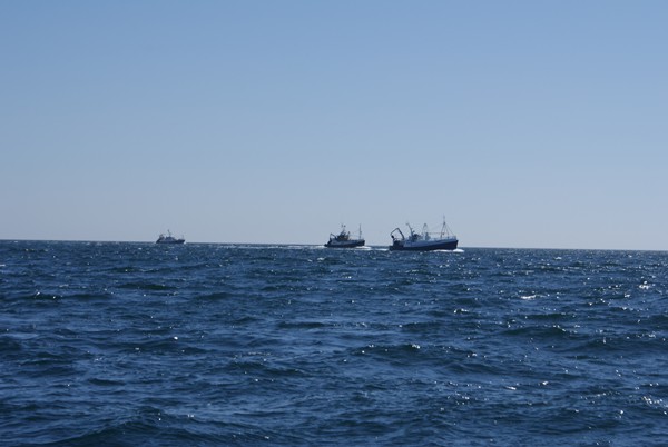 Trawlers steam for Dunmore East