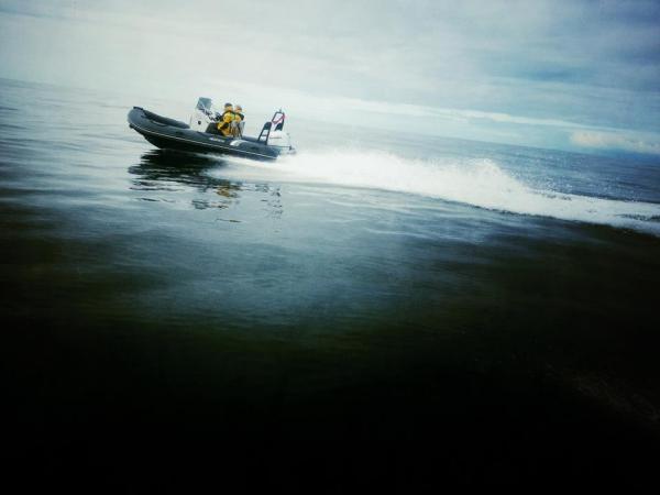 Black Panther on a glassy Irish Sea - a nice note to end the challenge on