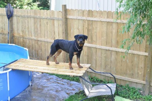 Heidi getting out of her pool