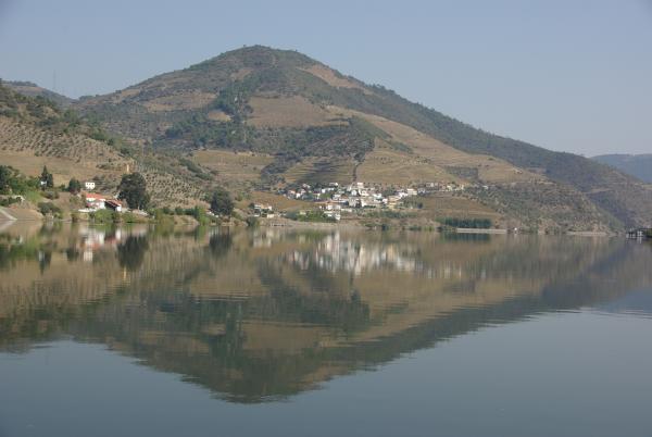 The Port wine region