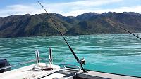 kaikoura fishing