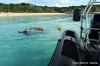 Pig Beach Excursion, Bahamas