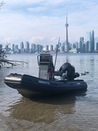 "Dolphin" AB Profile A13 with Mercury Jet 40 hp.
Toronto, Canada