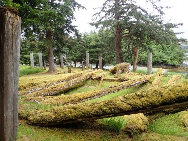 Roof poles of large house, Ninstints village site