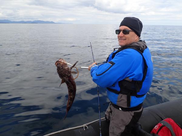 Dinner for a couple nights, fresh lingcod.