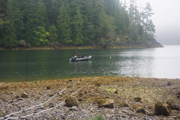 Lined out from our Bligh Island camp.