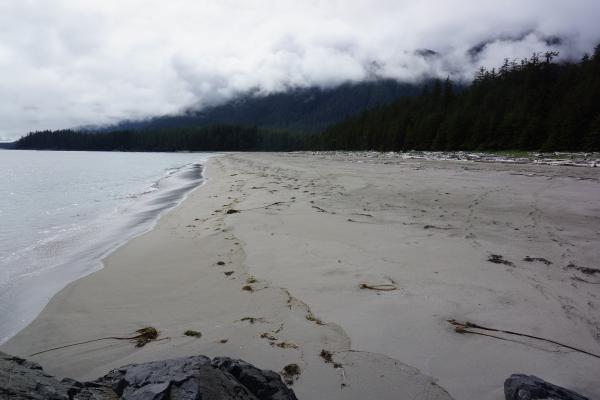 South side of Brooks Peninsula