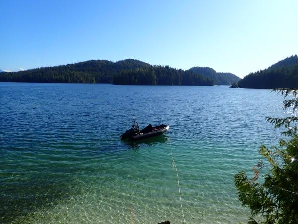 Lining out at Insect Island