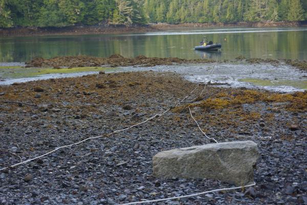 Hurst Island - Clothsline just long enough to get beyond low tide level.