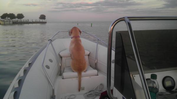 Kelsey on foredeck look out