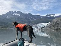 Shoup Glacier