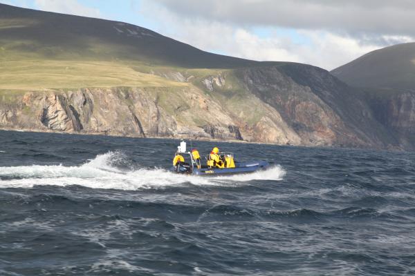 Merlin off the Antrim Coast