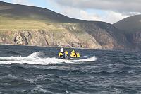 Merlin off the Antrim Coast