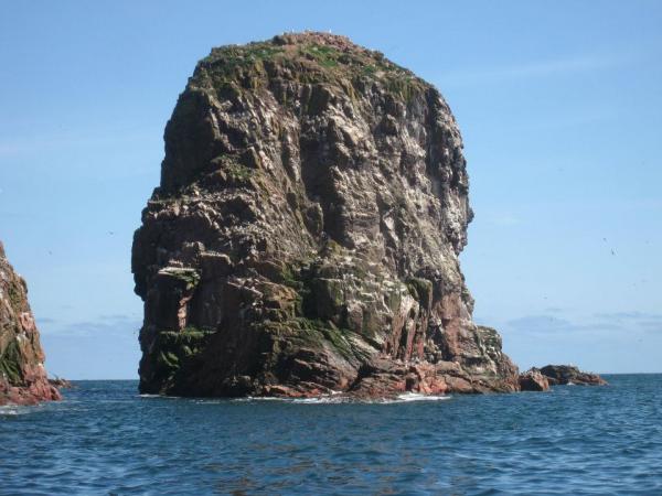 Sea Stack (near Bullers of Buchan).