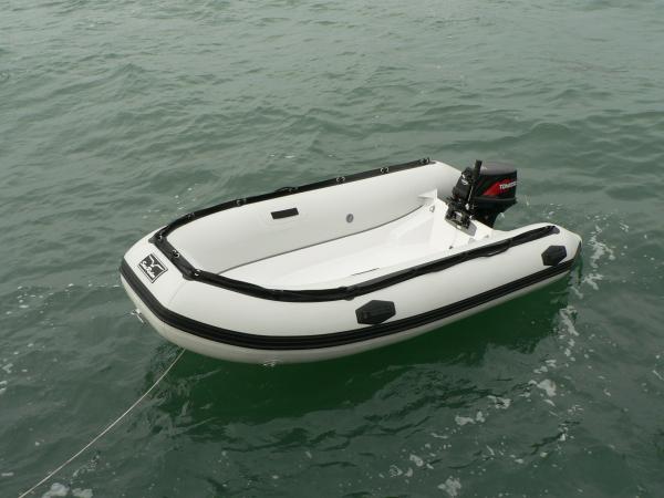 Sea Rider 310