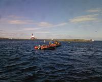 Calm before the storm ( Farne Island)