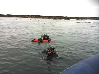 Divers happy return after playing with the seals!