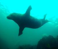 September 2013 Farnes 012